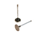 Maxiforce Intake Valve, DT466P for Navistar 824642 - Quality Farm Supply