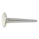 Intake Valve