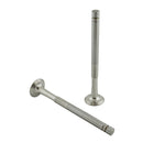 Exhaust Valve