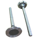 Intake & Exhaust Valve