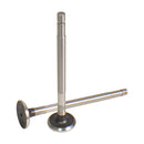 Exhaust Valve