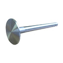 Intake Valve