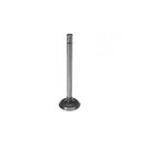 Intake & Exhaust Valve