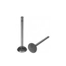 Intake Valve