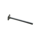 Intake Valve