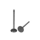 Exhaust Valve