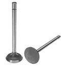 Exhaust Valve