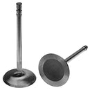 Intake Valve