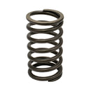 Valve Spring