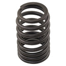 Valve Spring