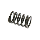 Valve Spring