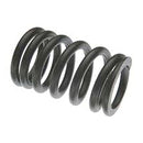 Valve Spring