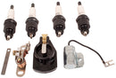 TISCO Ignition Tune-Up Kit with Spark Plugs for Ford 309787