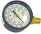 GAUGE 1/4 NPT 0-160 B.M