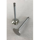 Maxiforce Intake Valve for Navistar 75046 - Quality Farm Supply
