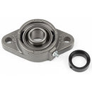 1"   2 HOLE CAST IRON FLANGED BEARING - WITH ECCENTRIC LOCKING COLLAR - Quality Farm Supply