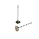 Maxiforce Intake Valve, QSC 8.3 for Cummins 3942588 - Quality Farm Supply