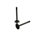 Maxiforce Intake Valve, V1702 Idi for Kubota 15221-13110 - Quality Farm Supply