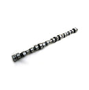 Camshaft for John Deere R82821