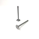 Maxiforce Exhaust Valve 4.108 for Perkins 910061 - Quality Farm Supply