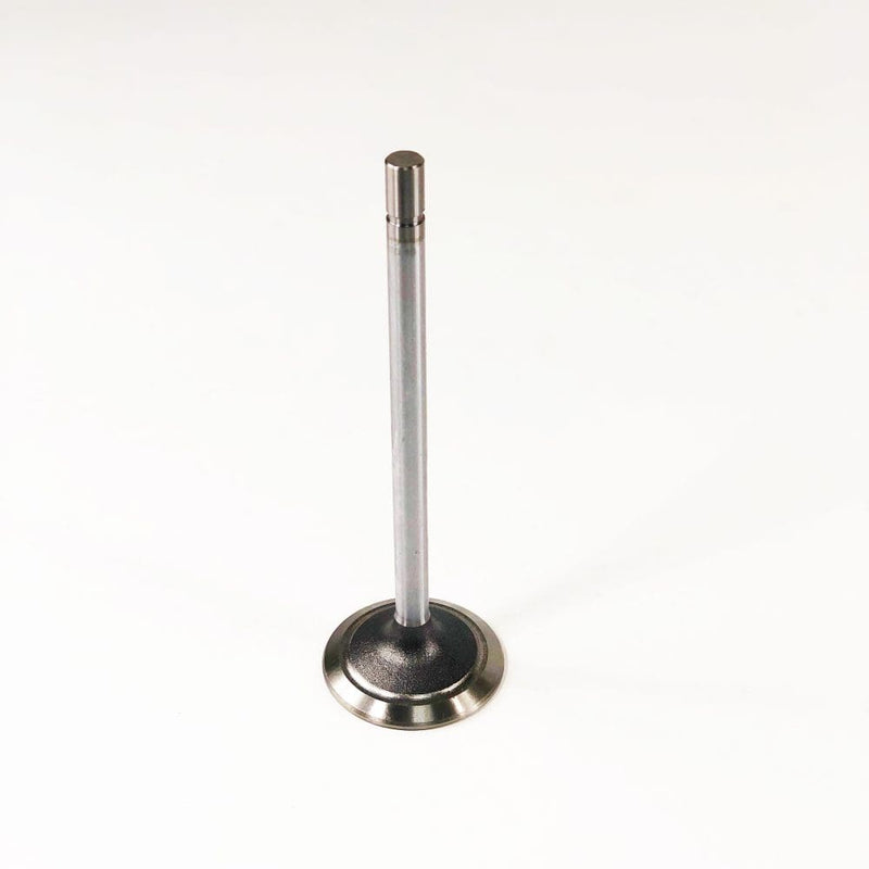 Maxiforce Intake Valve 6.101 for John Deere R101304 - Quality Farm Supply