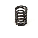 Maxiforce Valve Spring, 704 for Perkins 3174P408 - Quality Farm Supply