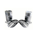 Piston & Rings - Set of 2 .125" for John Deere