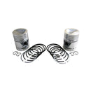 Piston & Rings - Set of 2 .125" for John Deere