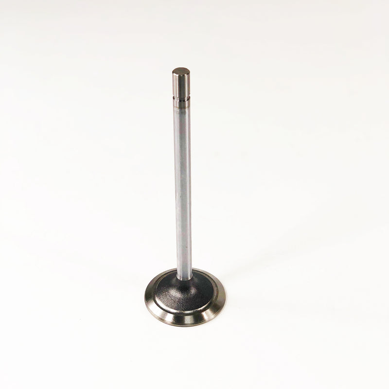 Maxiforce Intake Valve 6.101 for John Deere R101304 - Quality Farm Supply