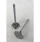 Maxiforce Intake Valve .015 300 Series for John Deere R97490 - Quality Farm Supply