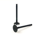 Maxiforce Exhaust Valve, TNE106 for Yanmar 123900-11110 - Quality Farm Supply