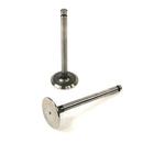 Maxiforce Intake Valve TNV88 for Yanmar 129005-11100 - Quality Farm Supply
