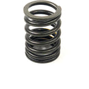 Maxiforce Valve Spring, TNE/V 84/86/88 for Yanmar 129795-11120 - Quality Farm Supply