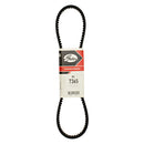 Fan Belt