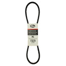 Power Steering Belt