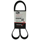 Alternator Belt