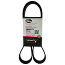 Fan Belt