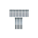 Cylinder Head Bolt Kit - 9/16"