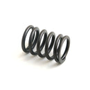 Valve Spring