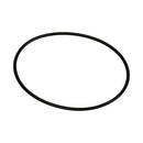 Camshaft Plug Seal