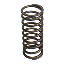Valve Spring