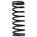 Valve Spring
