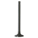 Intake Valve