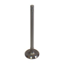 Intake Valve