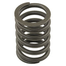 Valve Spring