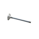 Exhaust Valve