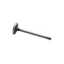 Intake Valve