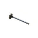 Exhaust Valve