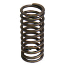 Valve Spring