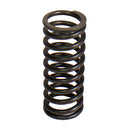 Valve Spring